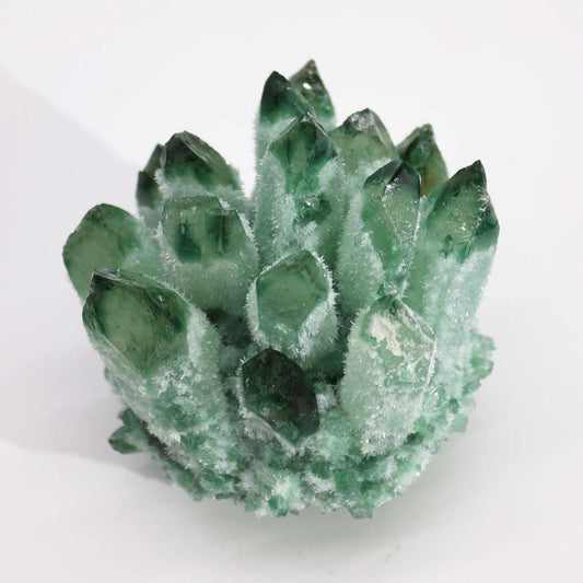 Green Sparkly Flower Geode
