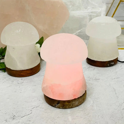 Mushroom Selenite Color Changing Lamp