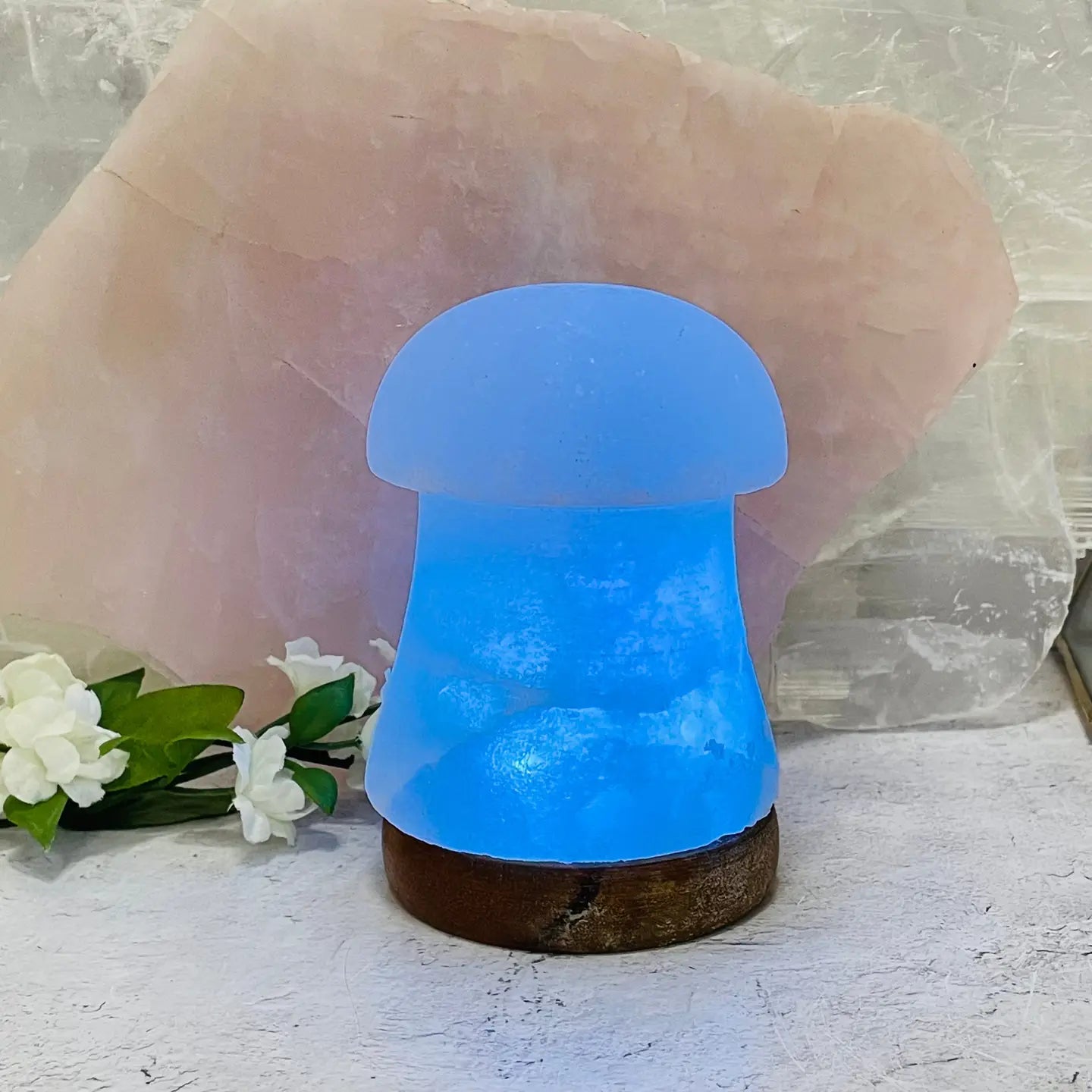 Mushroom Selenite Color Changing Lamp