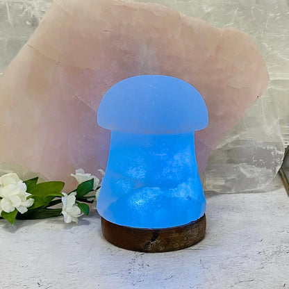 Mushroom Selenite Color Changing Lamp