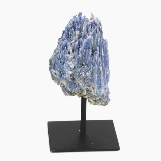 🎁 Blue Kyanite on a Stand (100% off)