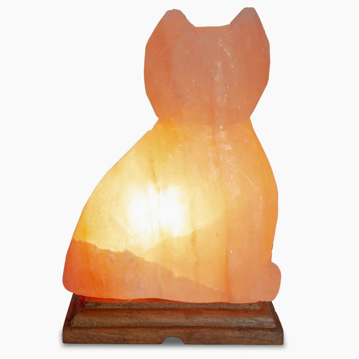 🎁 Himalayan Salt Cat Lamp (100% off)