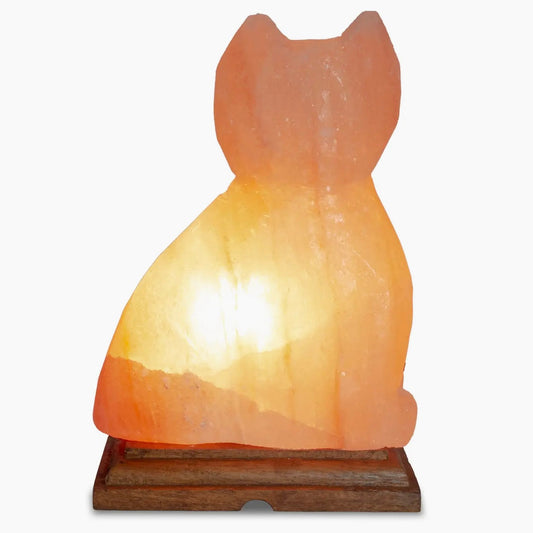 🎁 Himalayan Salt Cat Lamp (100% off)