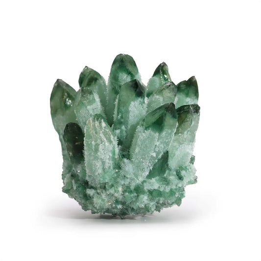Green Sparkly Flower Geode